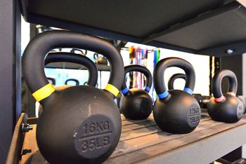 A row of dumbbells on a shelf in a gym